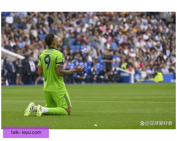 富勒姆最新动态：球队引援策略与赛季表现全面解析